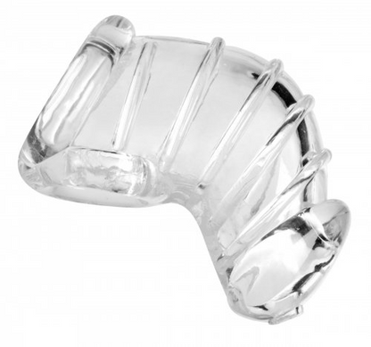 XR  MS Detained Soft Body Chastity Cage