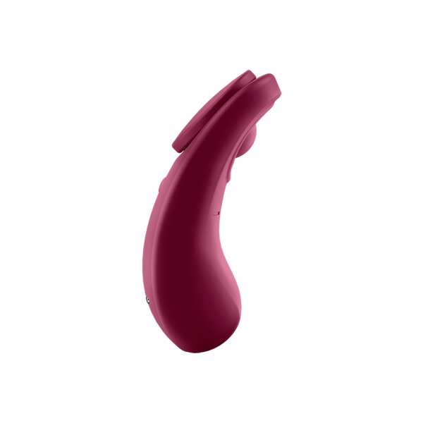 Satisfyer Sexy Secret - Wine Red